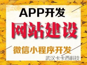 武汉小程序定制与网站建设推广企业指南