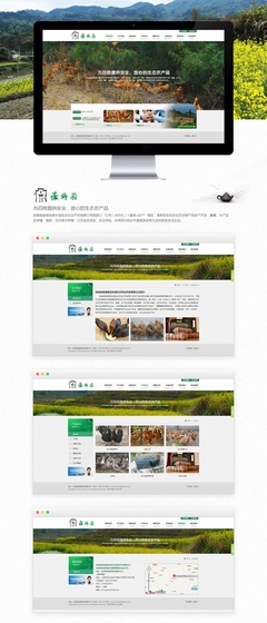 徽乡园生态农产品网站建设 原创设计点亮企业官网新风貌