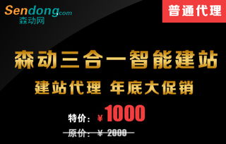 企业网站建设指南 森动网打造专业高效的在线展示平台