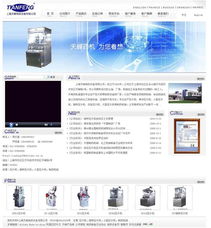 专业型网站建设 打造高效的数字品牌基石